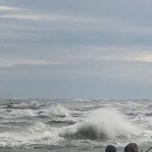 Meet your Posher, Alberto